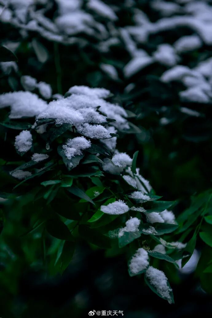 1℃→17℃！重庆这11地已入冬！